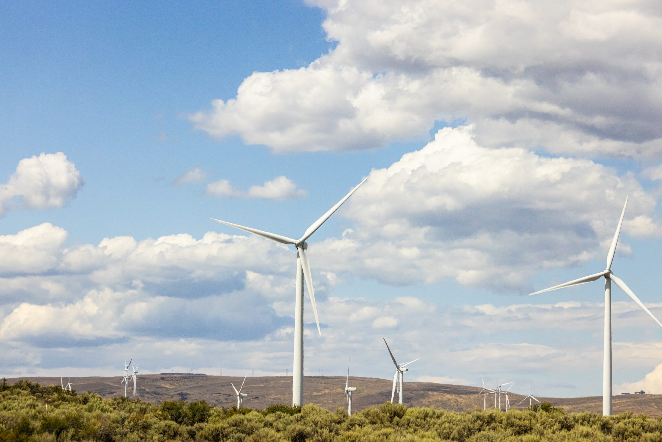 field of windmills in central Washington state