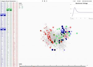 Neural Interactome