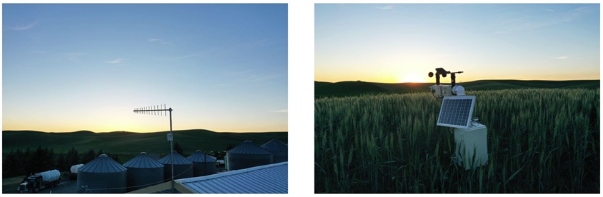 FarmBeats Deployment. A TV whitespace base station and FarmBeats sensor box deployed on Nelson Farm in Spokane, WA.