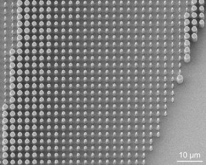 Close-up of nanopillars