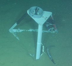 An underwater hydrophone used to detect and record sounds at the bottom of the ocean. Photo: Ocean Observatories Initiative (OOI)