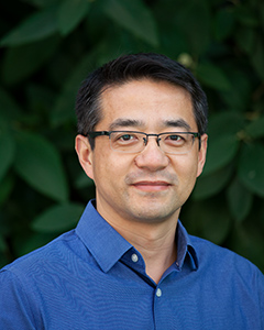 Professor Mo Li