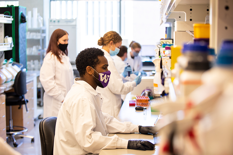 Undergraduate technicians perform common molecular biology tasks to enable the rapid design, construction and testing of genetically reprogrammed organisms for biotechnology applications and research. Dennis Wise / University of Washington
