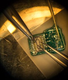 UW ECE labs host undergraduate students studying neurotechnology, providing a hands-on research experience