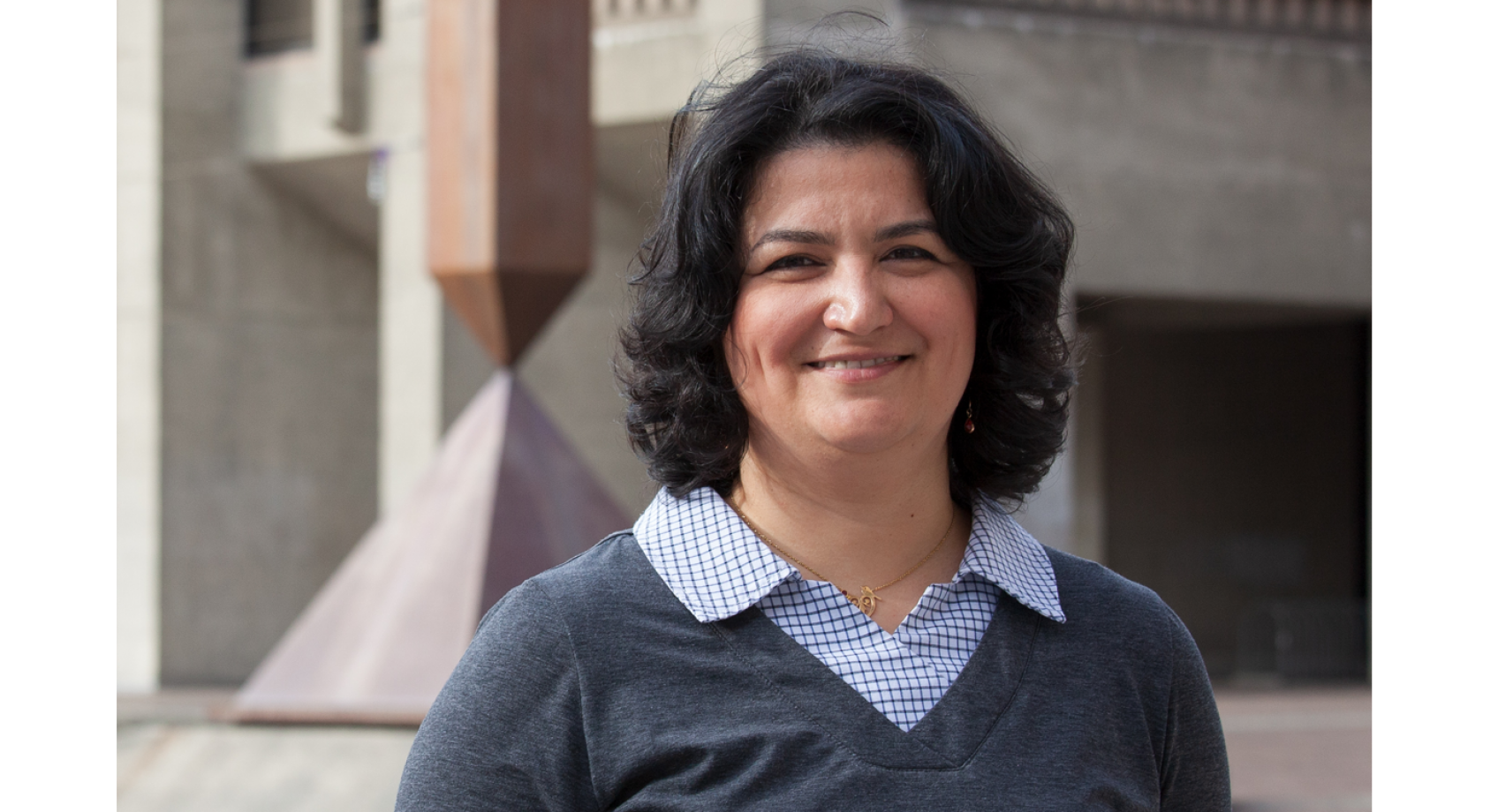 UW-led team receives $4.2M grant to develop AI-guided brain stimulation methods aimed at treating mental health disorders Banner