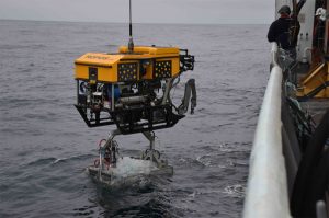 A remotely operated vehicle being submerged via a cable into the ocean