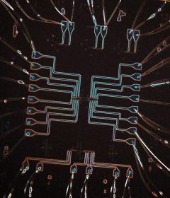 A new kind of chip for quantum technology