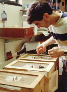 A young man is feeding butterflies in wooden crates by hand.