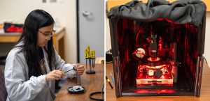 A photo of Mary Bun working on a device at a desk, next to a photo of the optogenetics rig she built, at right