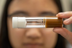 A closeup of a fruitfly in a testube. The testube is held horizontally by Mary Bun, whose face is in the background.