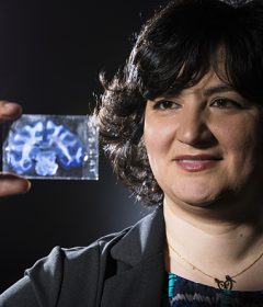 New study shows that electrical stimulation can reduce brain damage after stroke