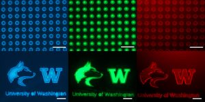 Three grids of blue, green, and red dots on a black background, above images of the UW Husky mascot and UW Logo in blue, green, and red — all on a black background.