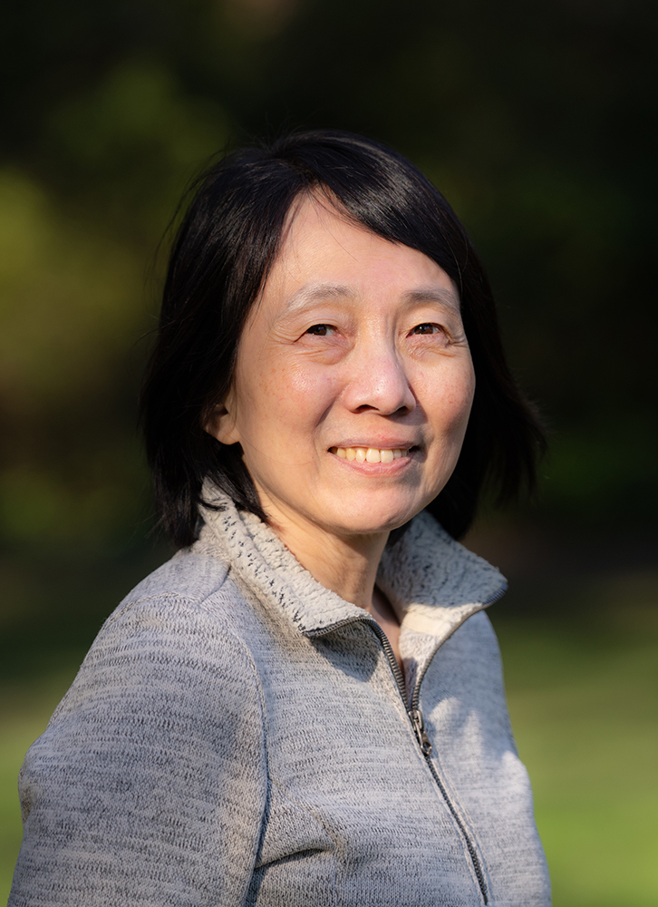 Professor Lih Lin