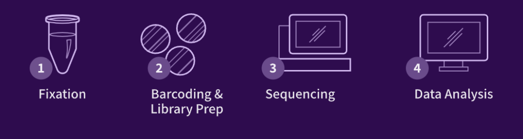 Parse Biosciences Graphic